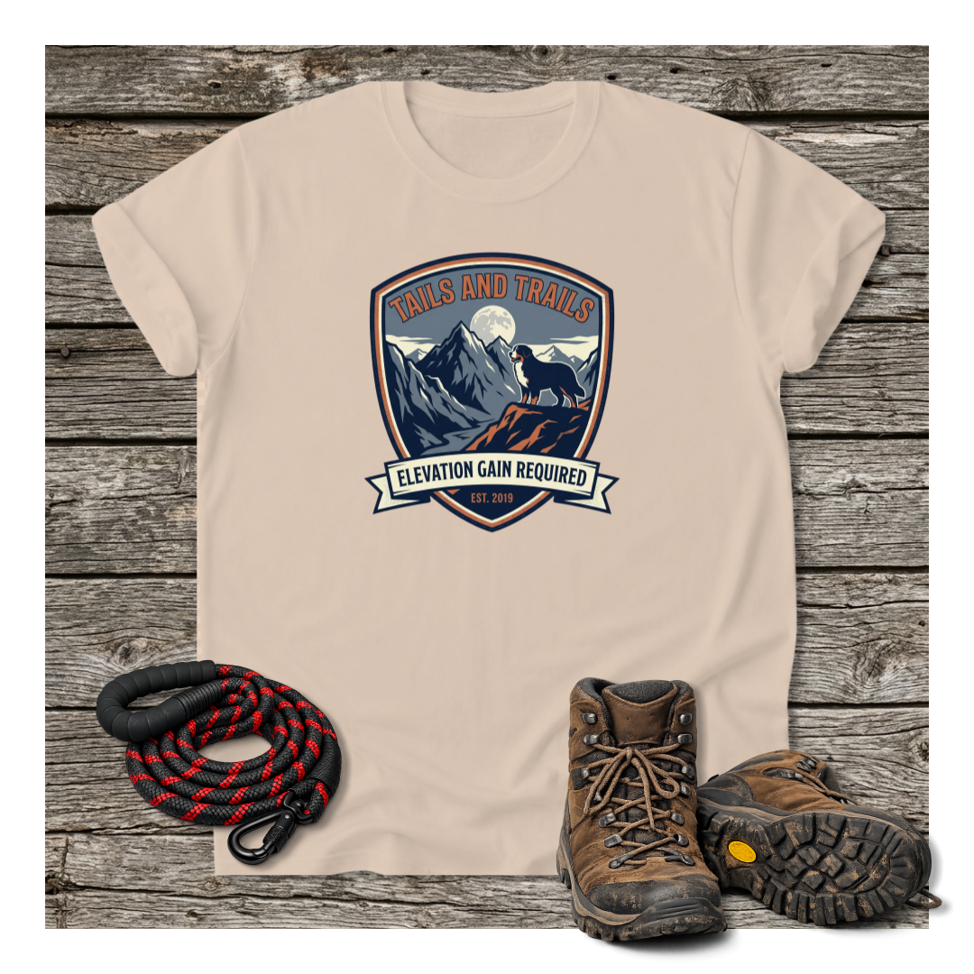 Mockup 5