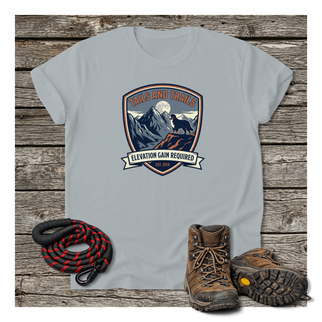 Mockup 6