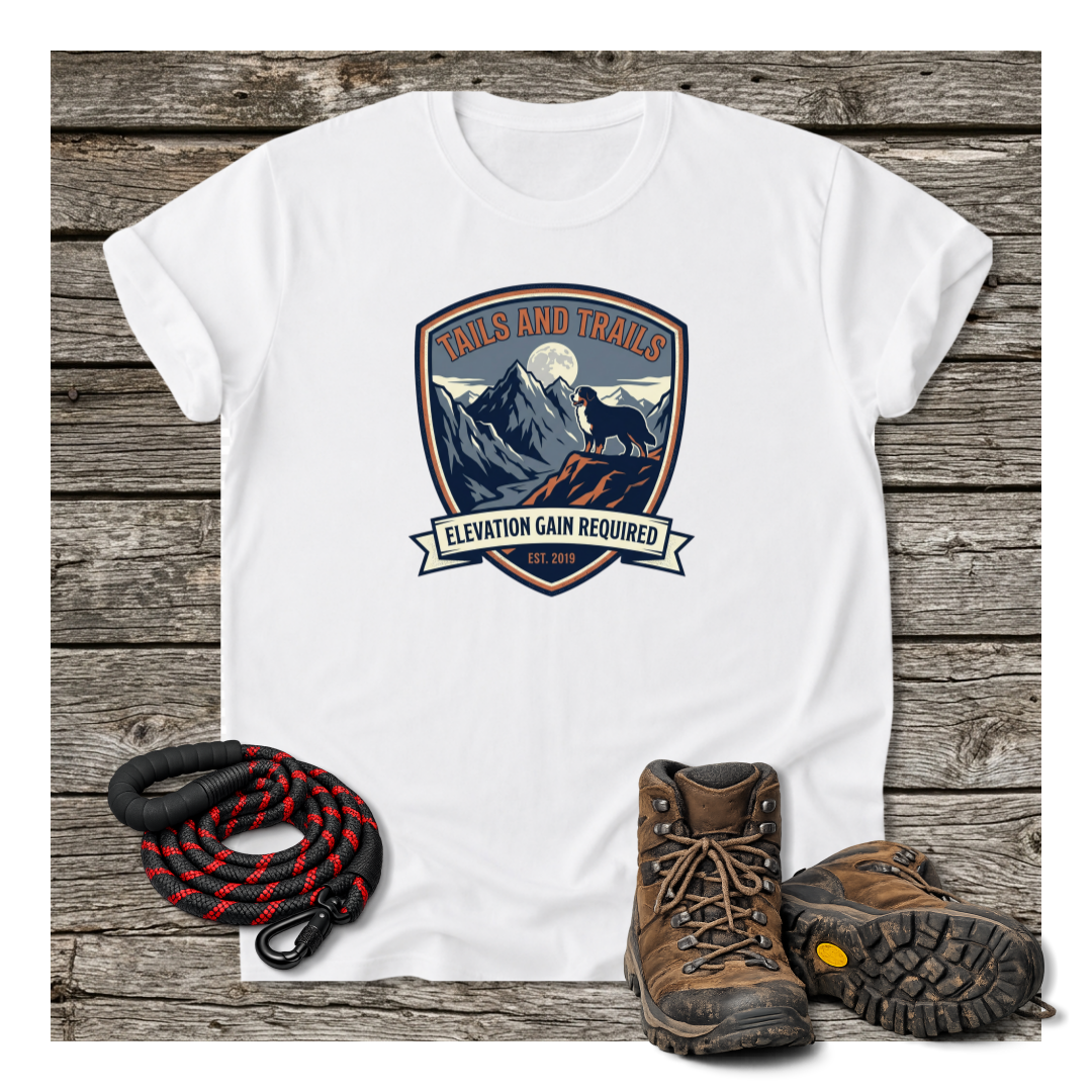 Mockup 7